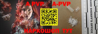 индика Усть-Джегута