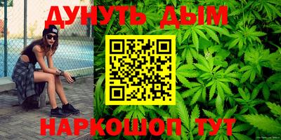 индика Усть-Джегута