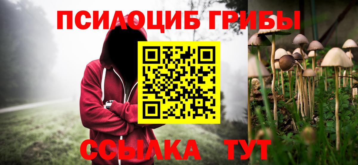 Галлюциногенные грибы мухоморы  купить наркоту  Новоалександровск  Вход с VPN 