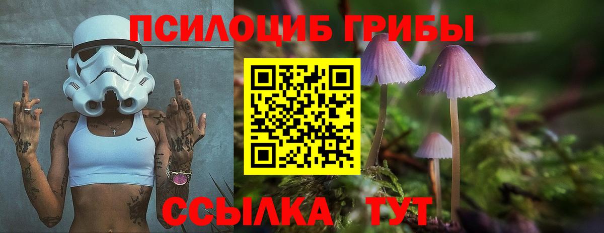 Галлюциногенные грибы Magic Shrooms Новоалександровск